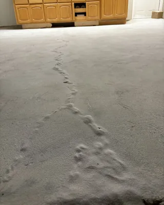 A long crack in a bare concrete garage floor covered by a raised line of gray powder, with wooden cabinets at the back.